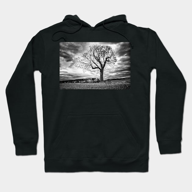 End of Summer - Black and white Tree Hoodie by InspiraImage